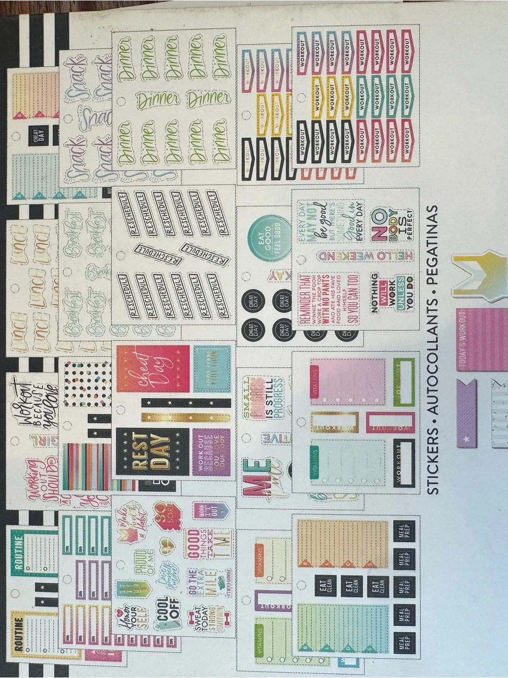 Happy Planner Sticky Notes & Planner Stickers - Healthy Hero Habits Gym Girl
